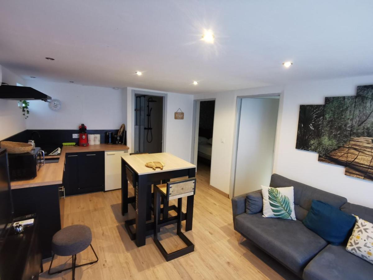 Gite 2 Chambres Avec Piscine Sernhac ภายนอก รูปภาพ