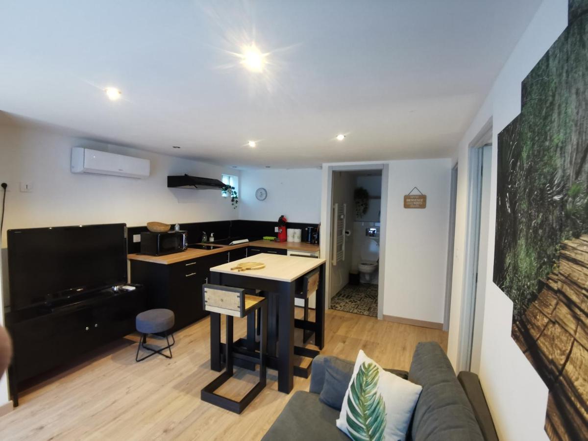 Gite 2 Chambres Avec Piscine Sernhac ภายนอก รูปภาพ
